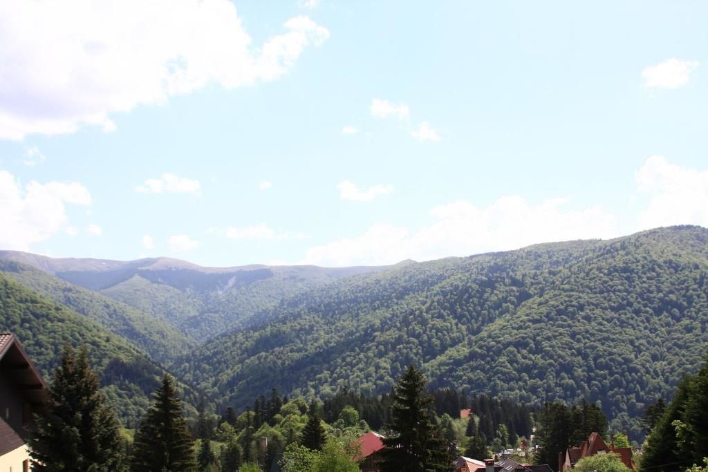 Гостевой дом BelleSeat Boutique Sinaia Синая