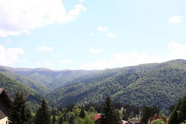 Гостевой дом BelleSeat Boutique Sinaia Синая-75